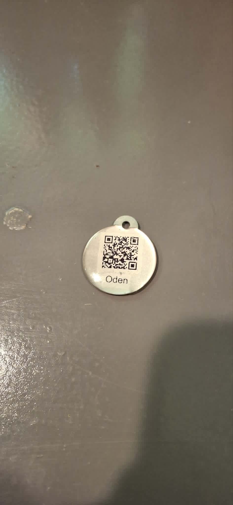 Back of the PetProTag showing the unique QR code and pet name engraved