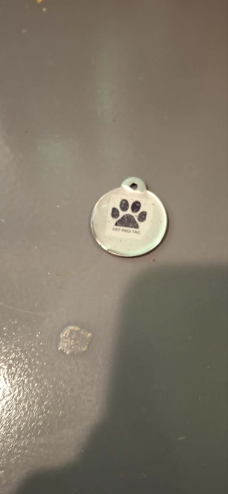 Front of the PetProTag — paw print and PetProTag branding